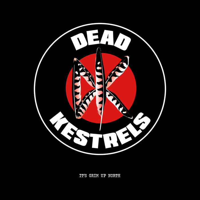 Dead Kestrel's T-Shirt