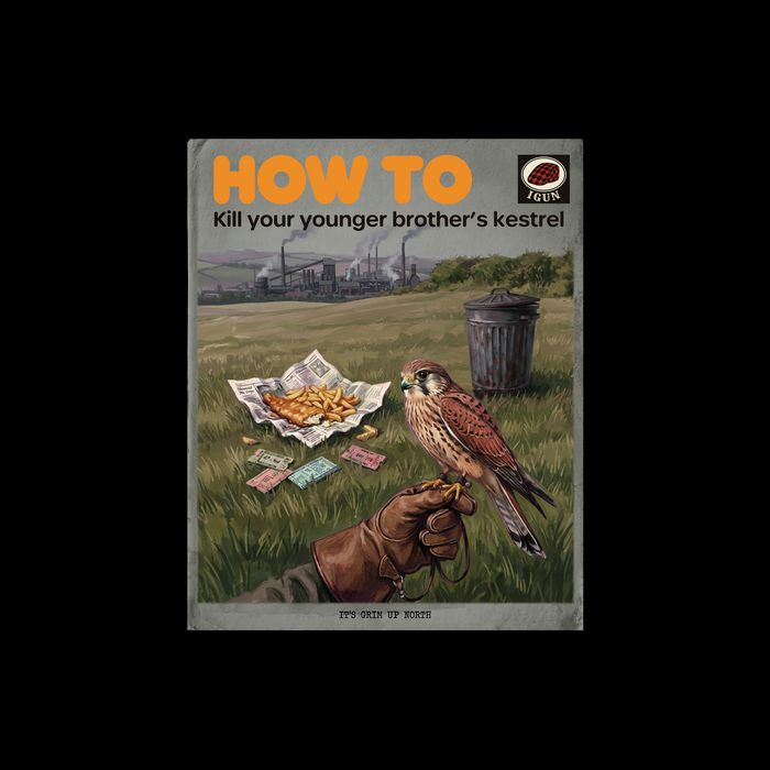 How to Kill A Kestrel